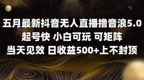 2025五月最新无人直播撸音浪单日产出5张+实操教程【揭秘】-鑫梵淘