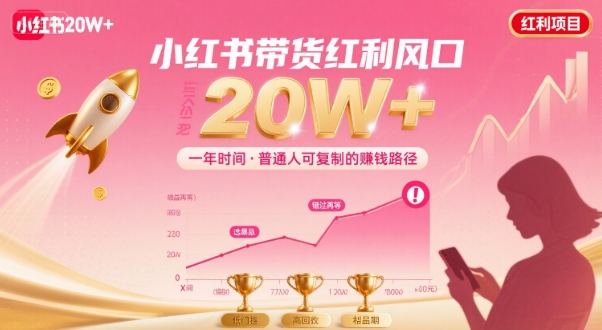 一年时间靠小红书带货项目年入20w+，最不能错的大红利项目-鑫梵淘