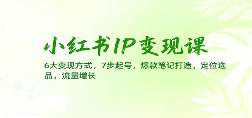 小红书IP变现课：6大变现方式，7步起号，爆款笔记打造，定位选品，流量增长-鑫梵淘