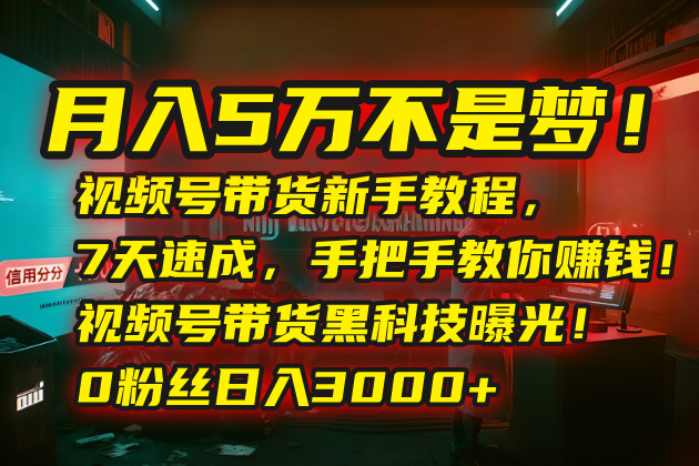 月入5万不是梦！视频号带货新手教程，7天速成，手把手教你赚钱！视频号...-鑫梵淘