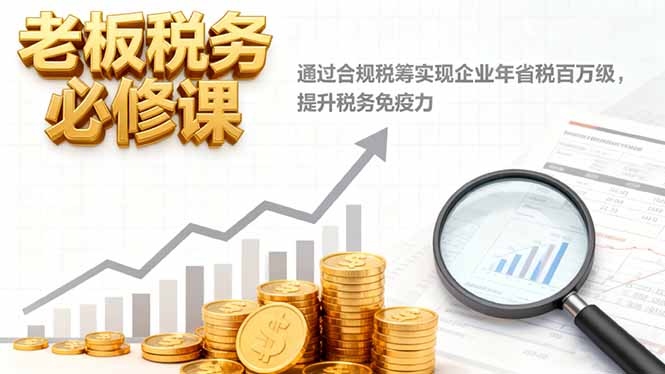 老板税务必修课，通过合规税筹实现企业年省税百万级，提升税务免疫力-鑫梵淘