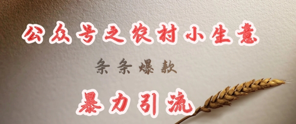 deepseek写农村小项目，条条爆款，暴力引流-鑫梵淘