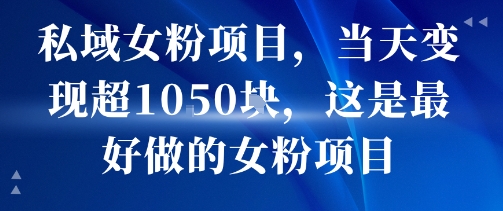 私域女粉项目，当天变现超1k，这是最好做的女粉项目，可放大操作-鑫梵淘