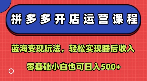 拼多多开店运营课程：蓝海变现玩法，轻松实现睡后收入，零基础小白也可日入5张-鑫梵淘