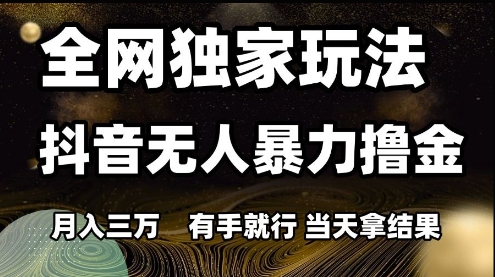 全网独家玩法抖音无人暴力撸金，月入3W，有手就行，当天拿结果【揭秘】-鑫梵淘