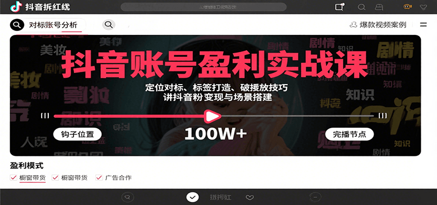 抖音账号盈利实战课，定位对标、标签打造、破播放技巧，讲涨粉变现与场景搭建-鑫梵淘