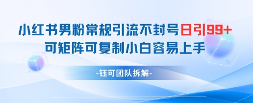 小红书男粉常规引流不封号日引99+变现简单 可矩阵可复制小白容易上手-鑫梵淘