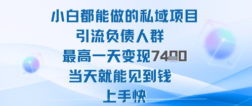 2025年小白都能做的私域项目引流负债人群最高一天变现1k+高变现难度低当天就能见到钱上手快-鑫梵淘