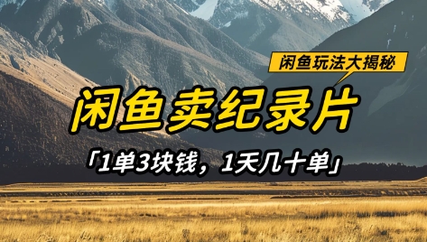闲鱼卖纪录片1单3块钱，1天几十单，项目稳定有潜力-鑫梵淘