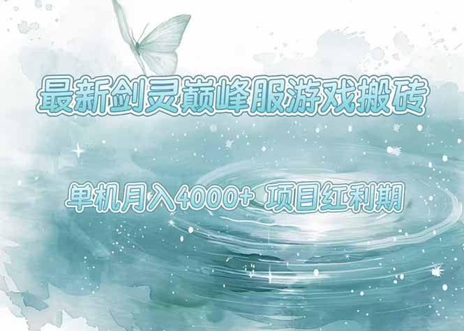 最新剑灵巅峰服游戏搬砖，项目红利期，单机稳定4000+操作简单好上手-鑫梵淘