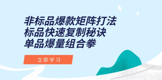 非标品爆款矩阵打法，标品快速复制秘诀，单品爆量组合拳-鑫梵淘
