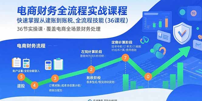 电商财务全流程实战课程：快速掌握从建账到报税的全流程技能(36节课-鑫梵淘