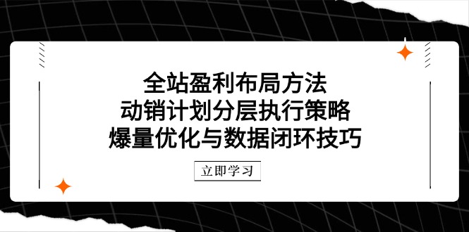 全站盈利布局方法：动销计划分层执行策略，爆量优化与数据闭环技巧-鑫梵淘