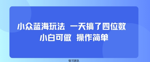 小众蓝海玩法 一天搞了四位数 小白可做 操作简单-鑫梵淘