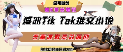 海外tiktok小说推文暴力项目，高停留率，高转化率，上手后一天搞顿饭钱不是问题-鑫梵淘