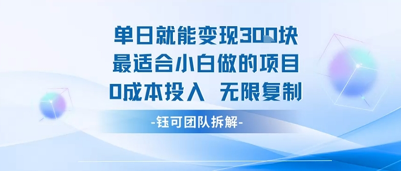 单日就能变现3张最适合小白做的项目0成本投入 无限复制-鑫梵淘