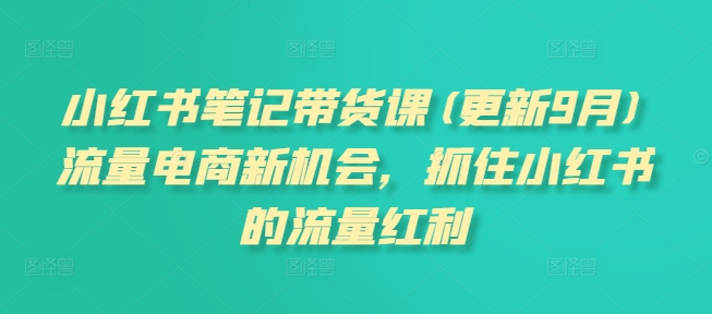 小红书笔记带货课(更新25年5月)流量电商新机会，抓住小红书的流量红利-鑫梵淘