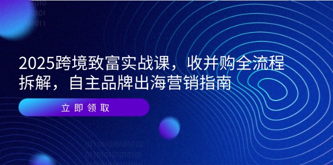 2025跨境致富实战课，收并购全流程拆解，自主品牌出海营销指南-鑫梵淘