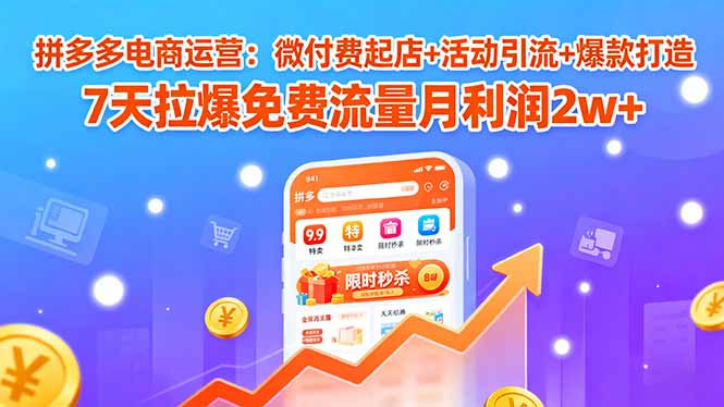拼多多电商运营：微付费起店+活动引流+爆款打造 7天拉爆免费流量月利润2w+-鑫梵淘