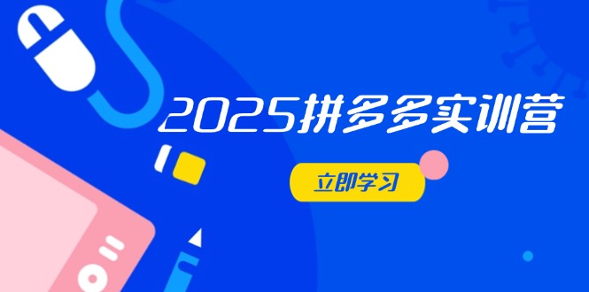 2025拼多多实训营：深度剖析运营关键，助力电商人快速提升-鑫梵淘