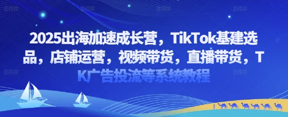 2025出海加速成长营，TikTok基建选品，店铺运营，视频带货，直播带货，TK广告投流等系统教程-鑫梵淘