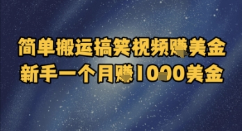简单搬运搞笑视频挣美金，新手一个月入1k美金-鑫梵淘