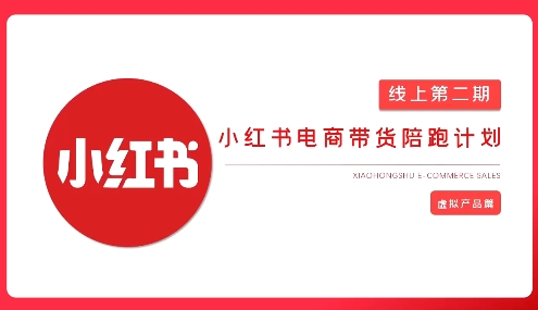 2025小红书虚拟电商实战课，从0到1打造无货源店铺，AI+爆款笔记轻松变现-鑫梵淘