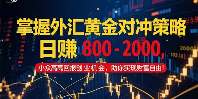掌握外汇黄金对冲策略，日赚 800 - 2000，小众高回报创业机会，助你实...-鑫梵淘