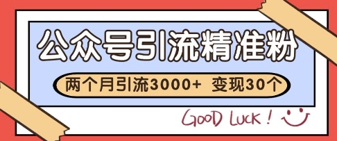 公众号精准粉引流玩法，2个月3000+精准粉，变现30个W【揭秘】-鑫梵淘