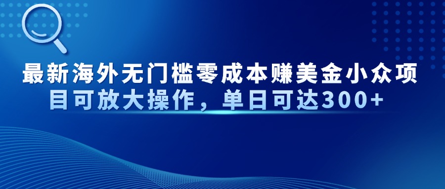 最新海外无门槛零成本赚美金小众项目可放大操作，单日可达300+-鑫梵淘