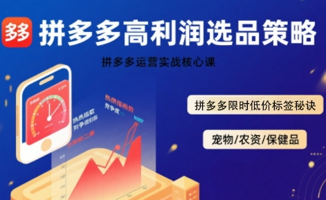 拼多多选品暴利技术实战课，拼多多高利润选品策略，拼多多限时低价标签秘诀-鑫梵淘