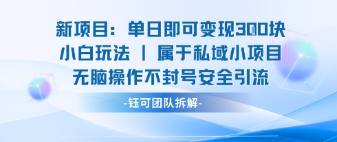 新项目单日即可变现3张的小白玩法无脑操作不封号安全引流-鑫梵淘