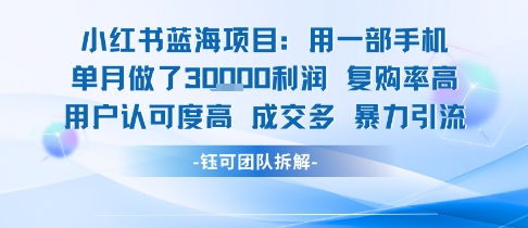 小红书蓝海项目，一部手机单月做了3W利润，小白也能月入过1W用户认可度高成交多-鑫梵淘