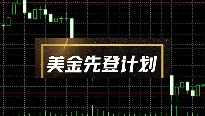 美金先登计划(2025黑马项目-鑫梵淘