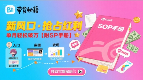 B站哔哩哔哩带货秘籍，新风口，抢占红利，单月轻松破万【附SOP手册】-鑫梵淘