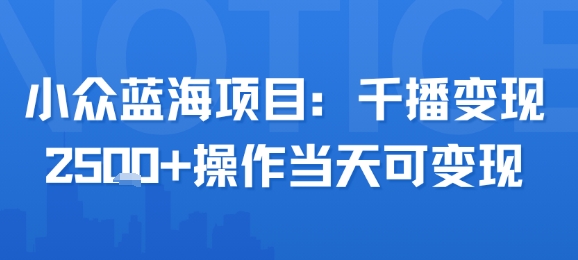 小众蓝海项目，千播变现2.5k+操作当天可变现-鑫梵淘