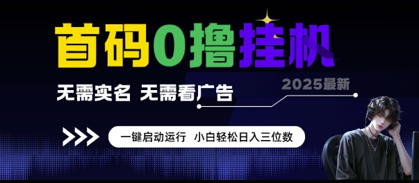 首码0撸挂G项目，无需实名无需看广告 一键启动运行，小白轻松日入三位数【揭秘】-鑫梵淘