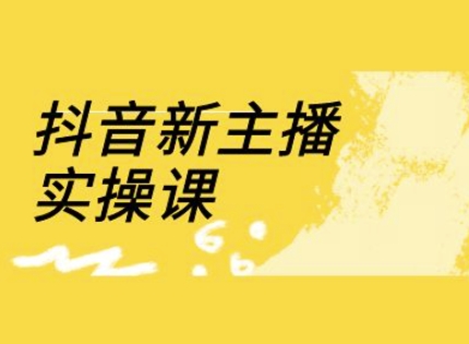 抖音新主播实操课，直播间流量运营线上实操课(18节)-鑫梵淘