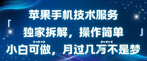 苹果手机技术服务，独家拆解，操作简单，小白可做，月过1W不是梦-鑫梵淘