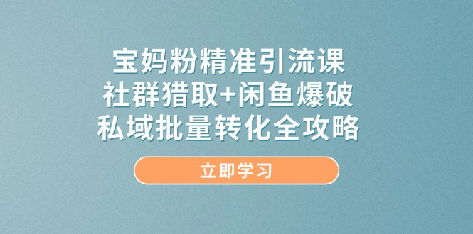 宝妈粉精准引流课，社群猎取+闲鱼爆破，私域批量转化全攻略-鑫梵淘