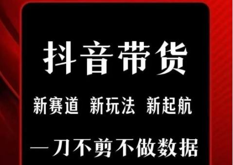 抖音短视频一刀不剪带货，不剪辑，不直播，每天发个视频，等着出单获取带货佣金-鑫梵淘