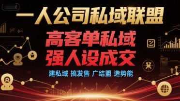 一人公司私域联盟，高客单私域，强人设成交，建私域 搞发售 广结盟 造势能-鑫梵淘