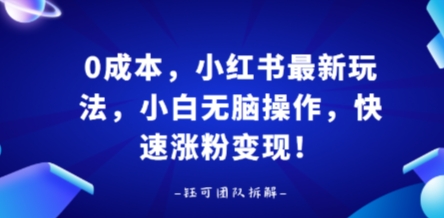 0成本，小红书最新玩法，小白无脑操作，快速涨粉变现-鑫梵淘