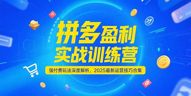 拼多多盈利实战训练营，强付费玩法深度解析，2025运营技巧合集-更新6月-鑫梵淘