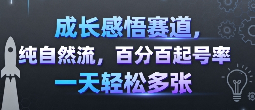 成长感悟赛道，纯自然流，百分百起号率 一天轻松多张-鑫梵淘