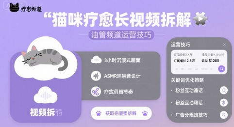 猫咪疗愈长视频拆解 &油管频道运营技巧-鑫梵淘