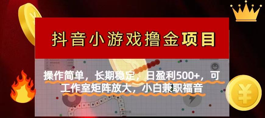 【抖音小游戏发行人计划项目】操作简单，长期稳定，日盈利500+，可工作...-鑫梵淘