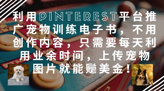 利用Pinterest平台推广宠物训练电子书，不用创作内容，只需要每天利用业余时间，上传宠物图片就能挣美金!-鑫梵淘