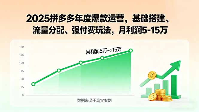 2025拼多多年度爆款运营，基础搭建、流量分配、强付费玩法，月利润5-15万-鑫梵淘