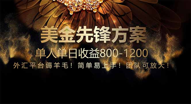 免费技术！小众赛道！一年布局抵三年努力，每日800+-鑫梵淘